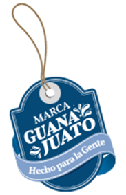 Insignia Marca Guanajuato